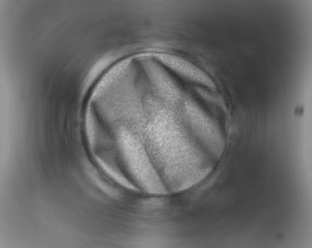 X0000113860102200910151246