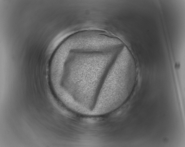 X0000113860103200910151246