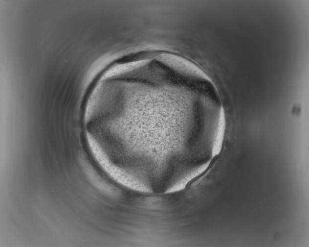 X0000113860104200910151246