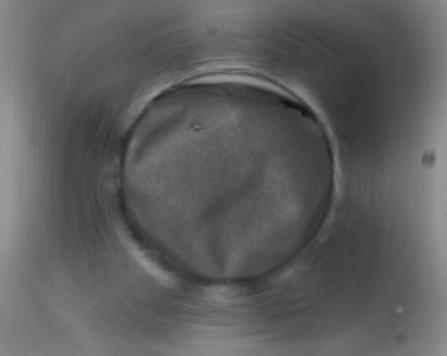 X0000113860105200910151246