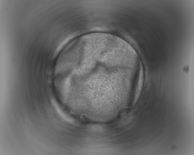 X0000113860106200910151246