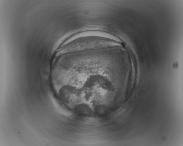 X0000113860107200910151246