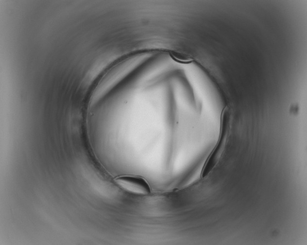 X0000113860108200910151246
