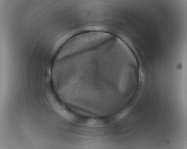 X0000113860109200910151246