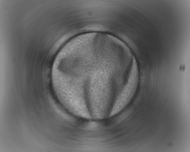 X0000113860111200910151246