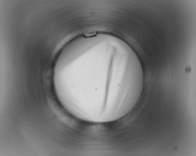 X0000113860112200910151246