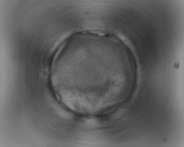 X0000113860113200910151246