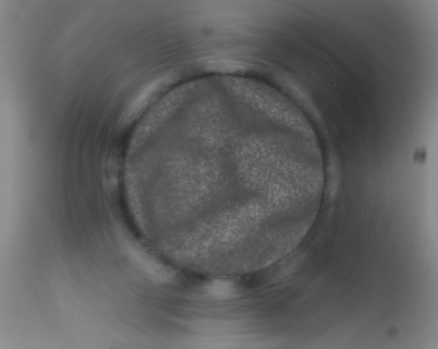 X0000113860114200910151246