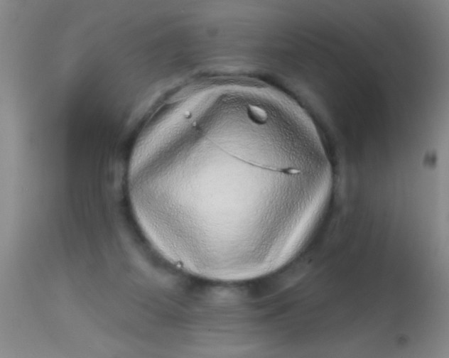 X0000113860115200910151246
