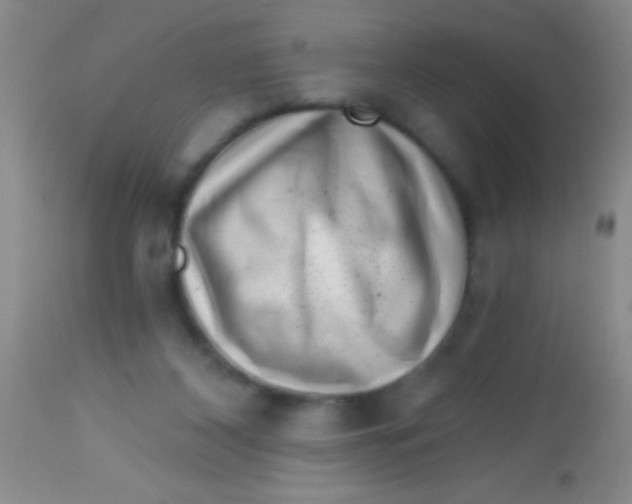 X0000113860116200910151246