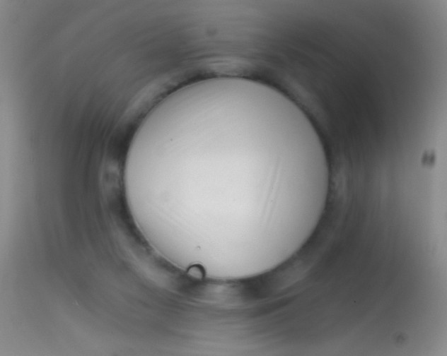 X0000113860117200910151246