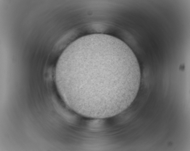 X0000113860122200910151246