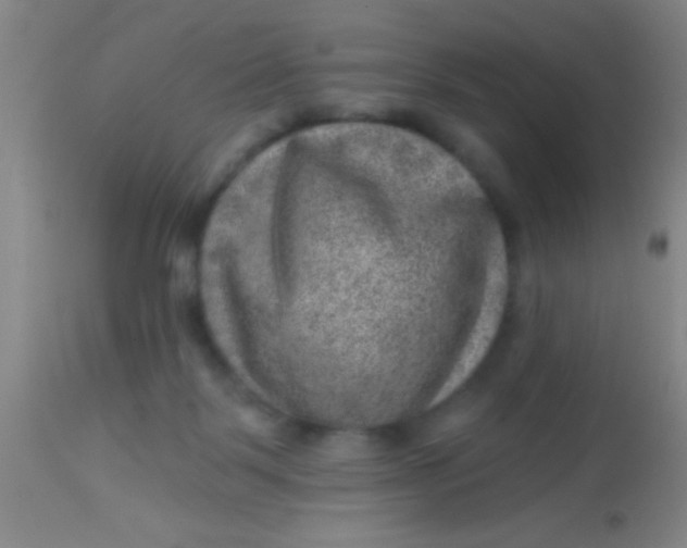 X0000113860123200910151246