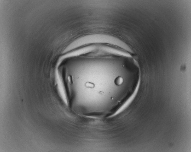 X0000113860125200910151246