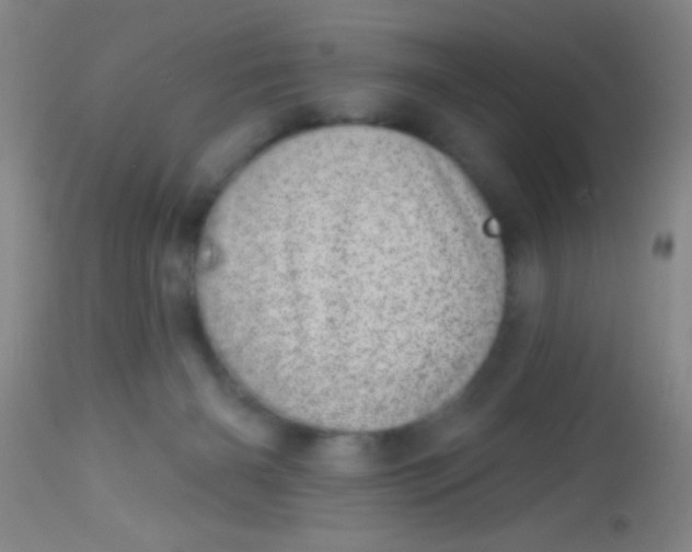 X0000113860126200910151246