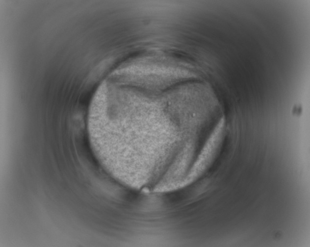 X0000113860127200910151246