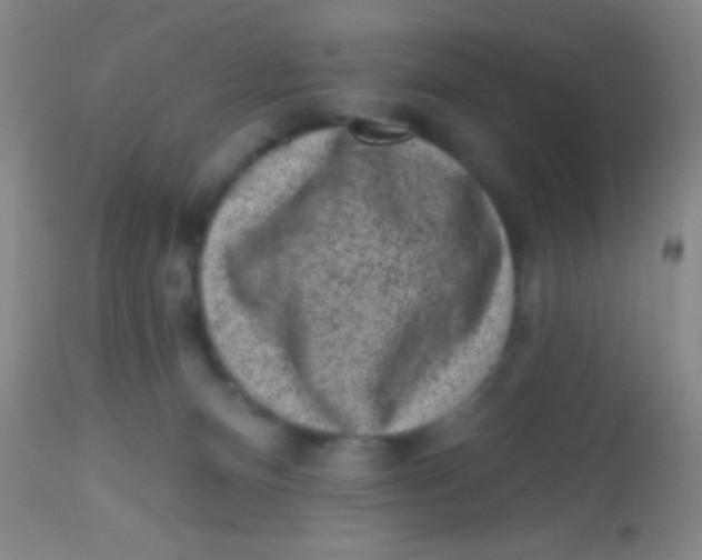X0000113860128200910151246