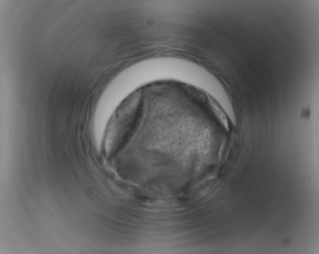X0000113860129200910151246