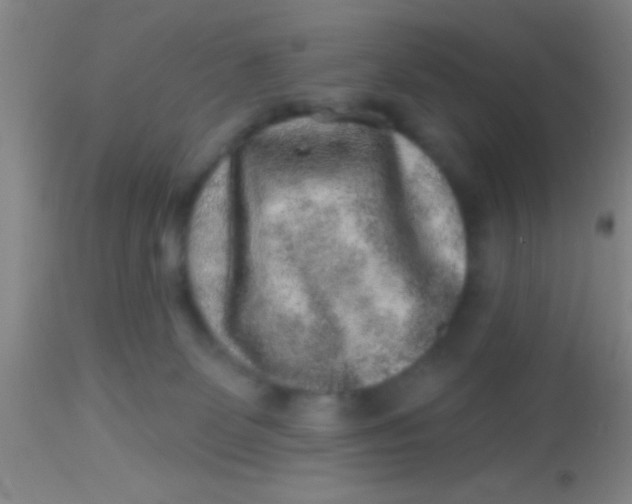 X0000113860131200910151246