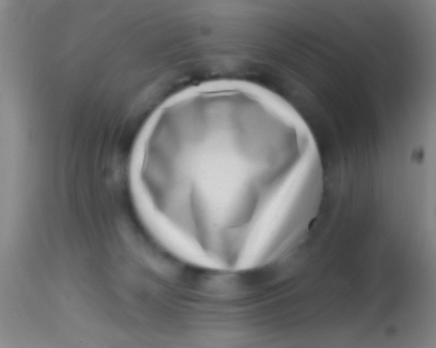 X0000113860132200910151246