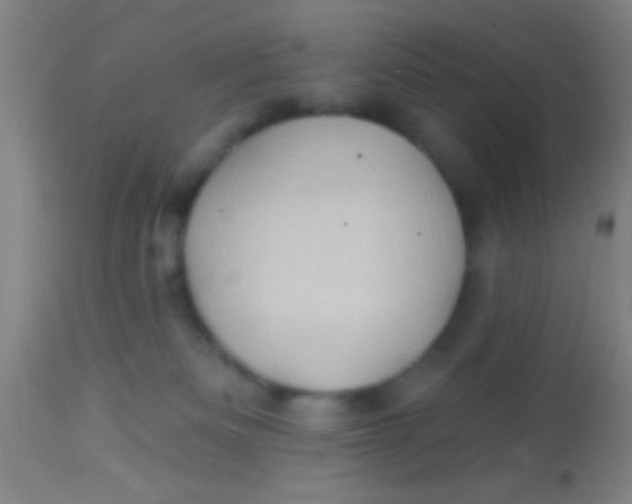 X0000113860133200910151246