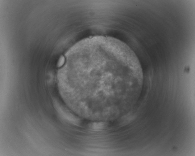 X0000113860134200910151246