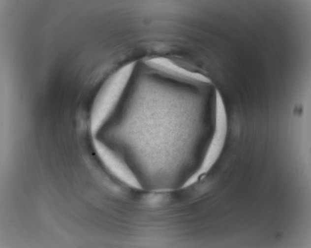 X0000113860135200910151245