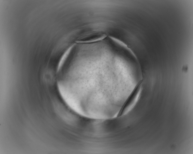 X0000113860136200910151245