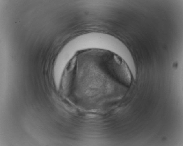 X0000113860137200910151245