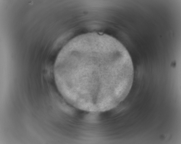 X0000113860138200910151245
