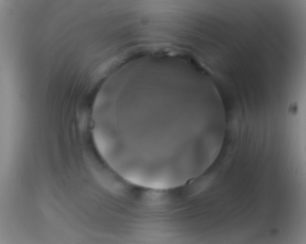X0000113860139200910151245