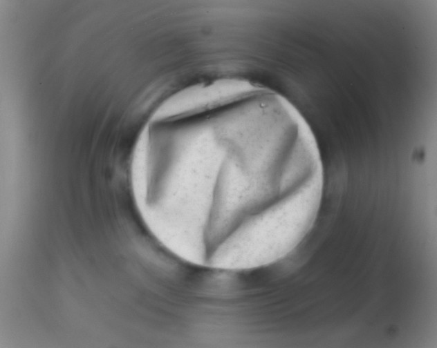 X0000113860140200910151245