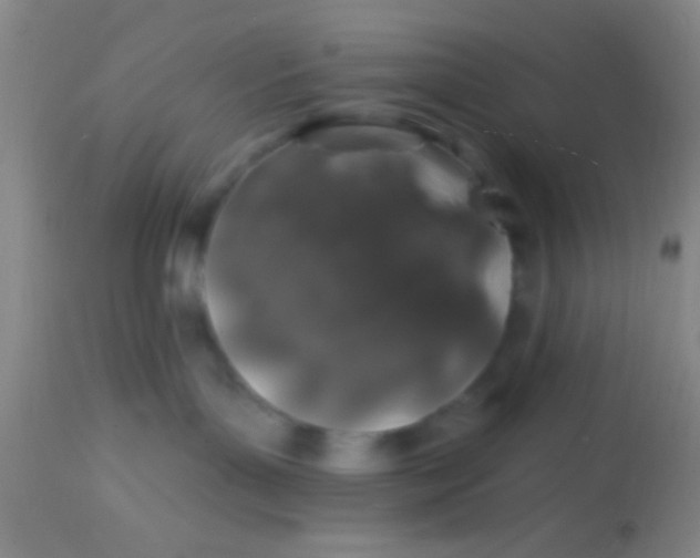 X0000113860143200910151245