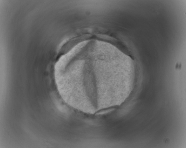X0000113860144200910151245