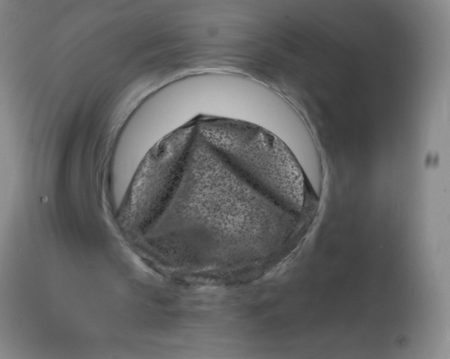 X0000113860145200910151244
