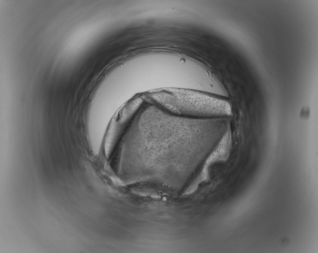 X0000113860146200910151244