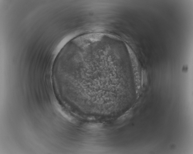 X0000113860147200910151244