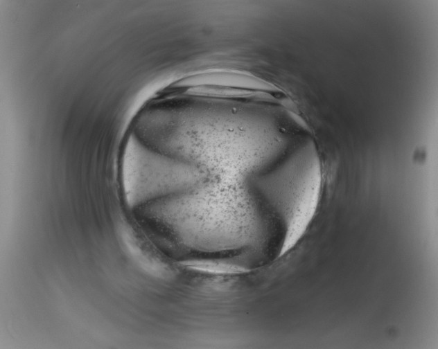 X0000113860148200910151244