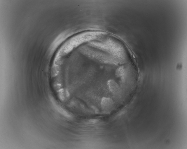 X0000113860151200910151245