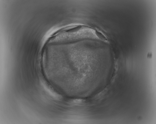 X0000113860152200910151245