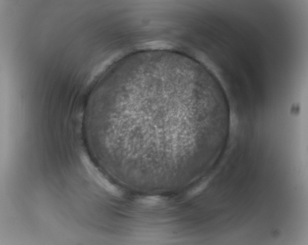 X0000113860153200910151245