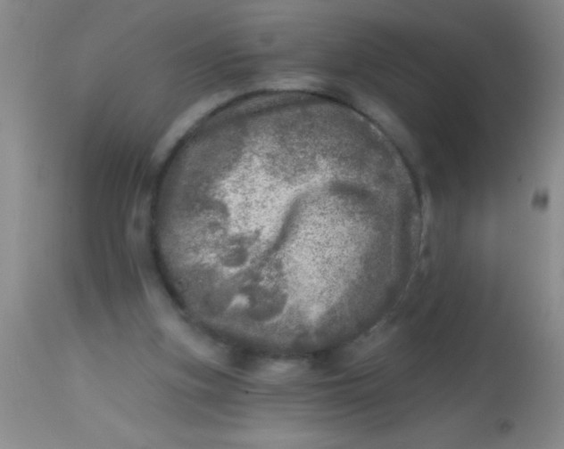 X0000113860155200910151245