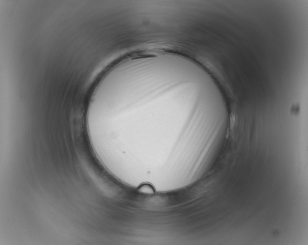 X0000113860156200910151245
