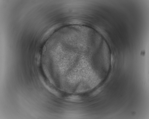 X0000113860157200910151245