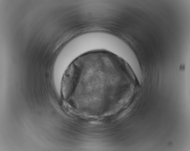 X0000113860158200910151245