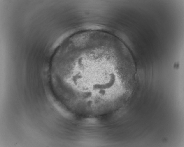 X0000113860159200910151245