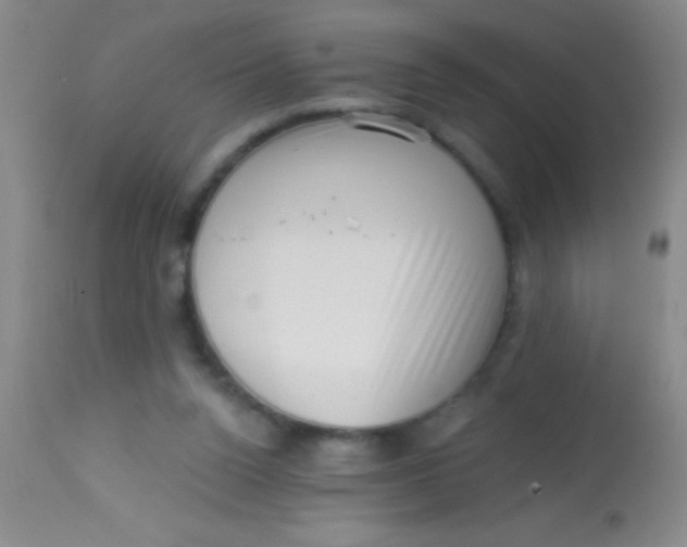 X0000113860160200910151245