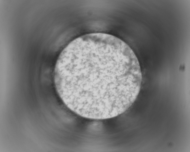 X0000113860162200910151245