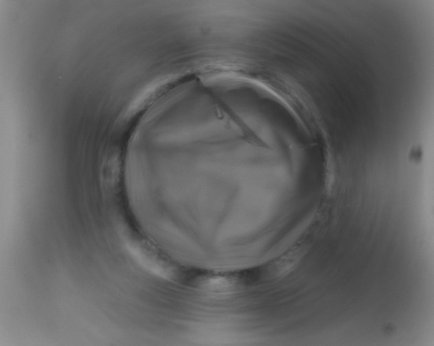 X0000113860163200910151245