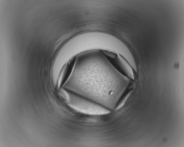 X0000113860164200910151245